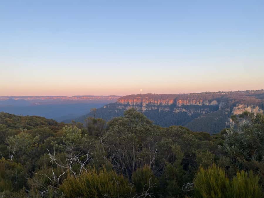 #1 Blue Mountains Tour Scenic World Waterfalls Wildlife Park - Lunch is convenient, but tastes can vary