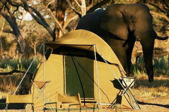 2-Day Camping Safari in Chobe National Park from Victoria Falls - Why This Short Chobe Safari Works