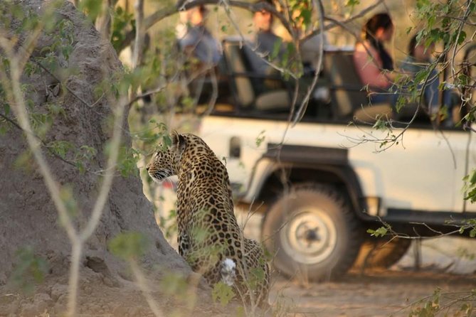 2-Day Camping Safari in Chobe National Park from Victoria Falls - A Tented Night with Campfire Cooking