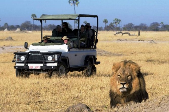 2-Day Camping Safari in Chobe National Park from Victoria Falls - 7:30 a.m. Departure and the Kazungula Border