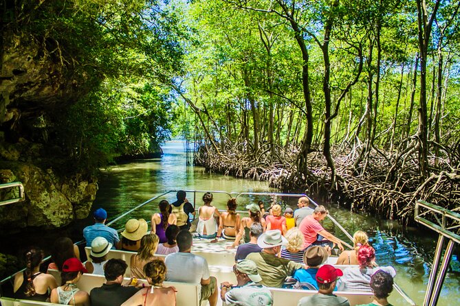 2in1: Los Haitises National Park + Yanigua Waterfall-SPA - Key points to know before booking
