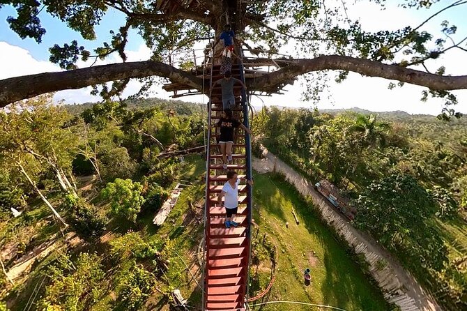 2in1: Los Haitises National Park + Yanigua Waterfall-SPA - Why this day feels different from a beach excursion