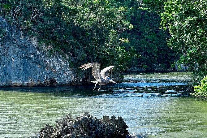 2in1: Los Haitises National Park + Yanigua Waterfall-SPA - Swimming beneath Yanigua Waterfall