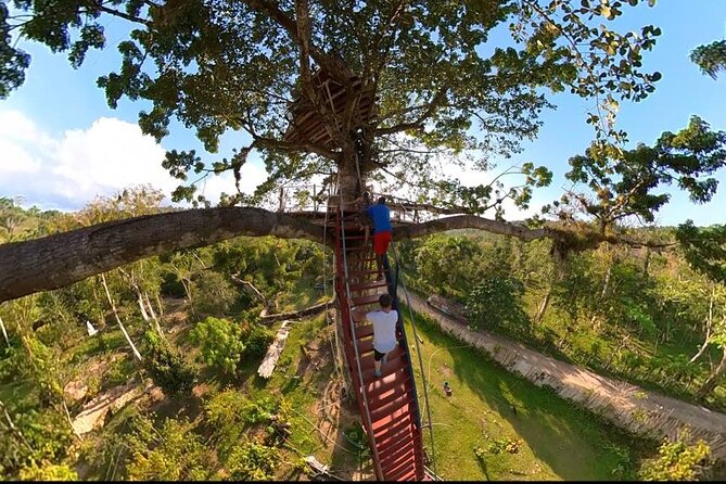 2in1: Los Haitises National Park + Yanigua Waterfall-SPA - What the $125 price covers