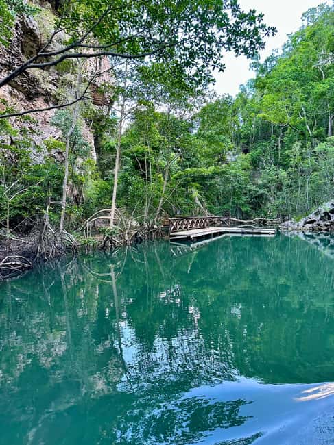2in1: Los Haitises National Park + Yanigua Waterfall-SPA - The guide can make the difference