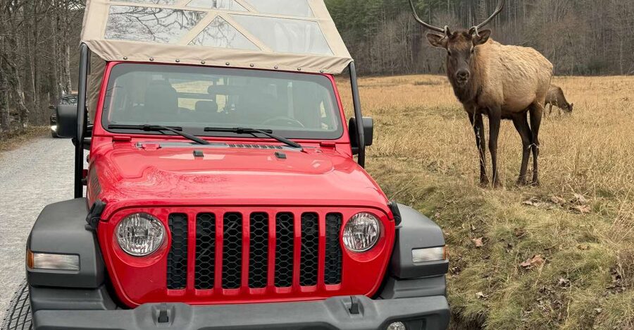 3.5-4 HR. Guided Safari Jeep Eco Waterfall Adventure - Crossing into Cherokee country