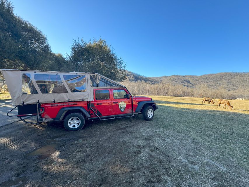 3.5-4 HR. Guided Safari Jeep Eco Waterfall Adventure - Climbing to the Blue Ridge Parkway