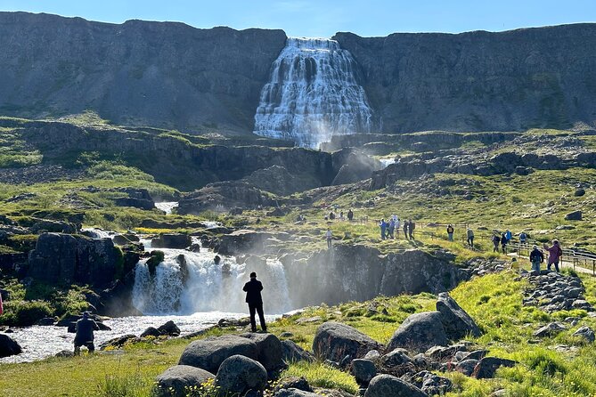 3,5-Hour Sightseeing Tour To Dynjandi Waterfall - A good fit for cruise port days