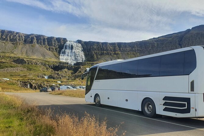 3,5-Hour Sightseeing Tour To Dynjandi Waterfall - The guide can shape the whole outing