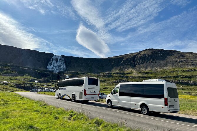 3,5-Hour Sightseeing Tour To Dynjandi Waterfall - Ninety minutes beside the falls