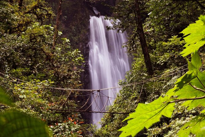 3-in-1 Monteverde Cloud Forest Waterfalls, Wild Trekking and Horseback Riding - Why this Monteverde combination works