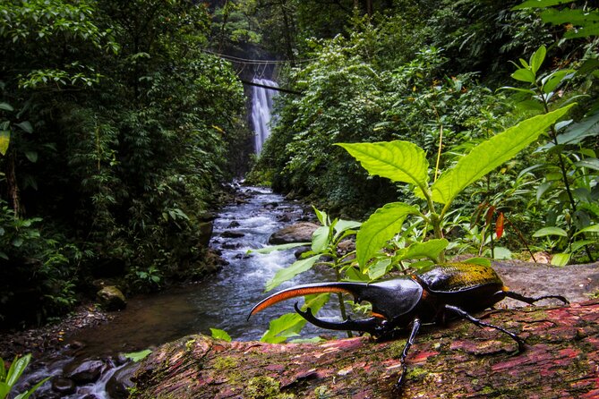 3-in-1 Monteverde Cloud Forest Waterfalls, Wild Trekking and Horseback Riding - From mountain ridge to four waterfalls