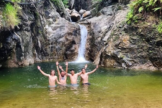 4-Hour Jungle Hike and Waterfall Swim - A jungle trail made of rocks, water, and roots