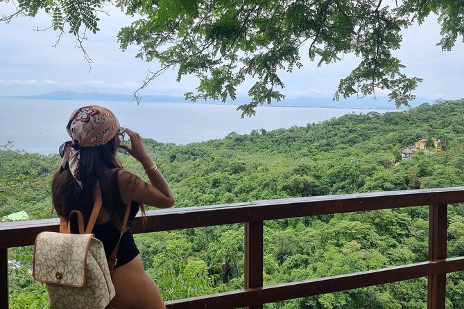 4-Hour Jungle Hike and Waterfall Swim - The second waterfall and the high jungle viewpoint