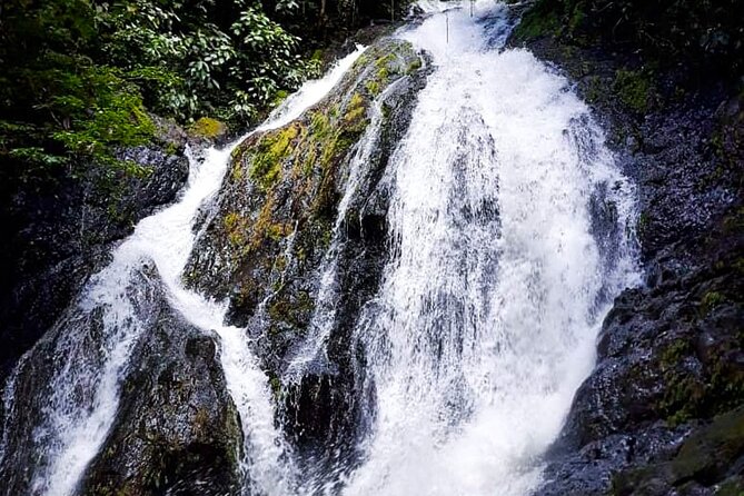 5 Hour Off-Road ATV+ Zipline+ Waterfall Rappelling+ Tractor Jungle Tour - What to wear and what to expect physically