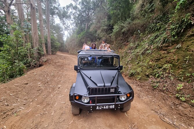 5 Hours Private tour To Porto Moniz, Rock pools, waterfalls - Why this northwest route works so well