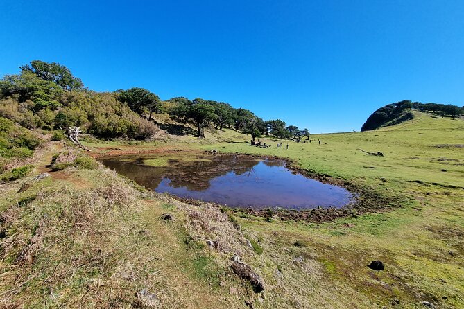 5 Hours Private tour To Porto Moniz, Rock pools, waterfalls - Porto Moniz town, lunch, and a little breathing room