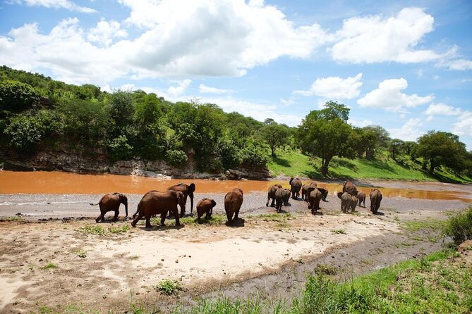 6 Days Serengeti Safari(hiking waterfalls &coffee tour) - Key points to know before booking