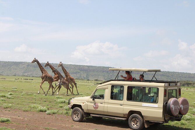 6 Days Serengeti Safari(hiking waterfalls &coffee tour) - A north Tanzania safari with a worthwhile final twist