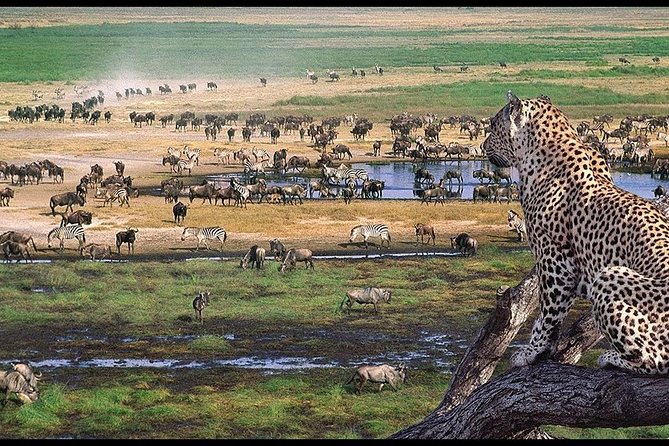 6 Days Serengeti Safari(hiking waterfalls &coffee tour) - Day 6: Materuni Waterfalls and Chagga coffee