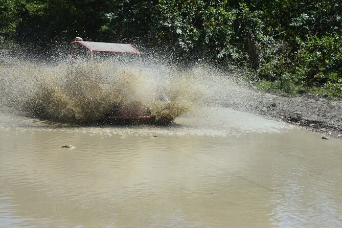 7 Waterfalls Damajagua and Dune Buggy - Damajagua waterfalls begin with a demanding walk