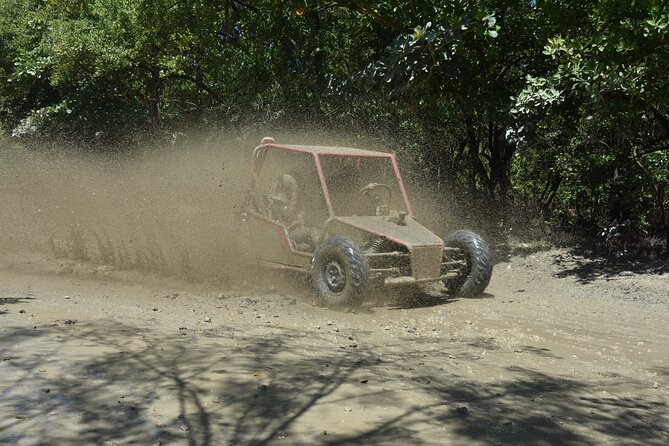 7 Waterfalls Damajagua and Dune Buggy - The guides can shape the day