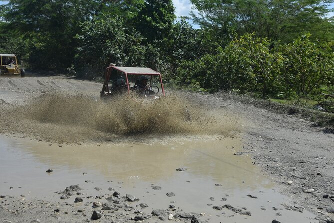 7 Waterfalls Damajagua and Dune Buggy - The main drawbacks to weigh carefully