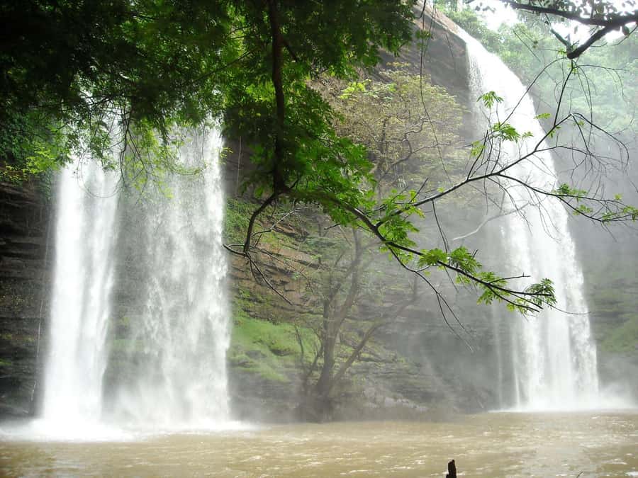 Accra: Eastern Region Waterfalls Tour - Umbrella Rock and the Three-Headed Palm Tree