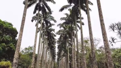 Accra: Eastern Region Waterfalls Tour