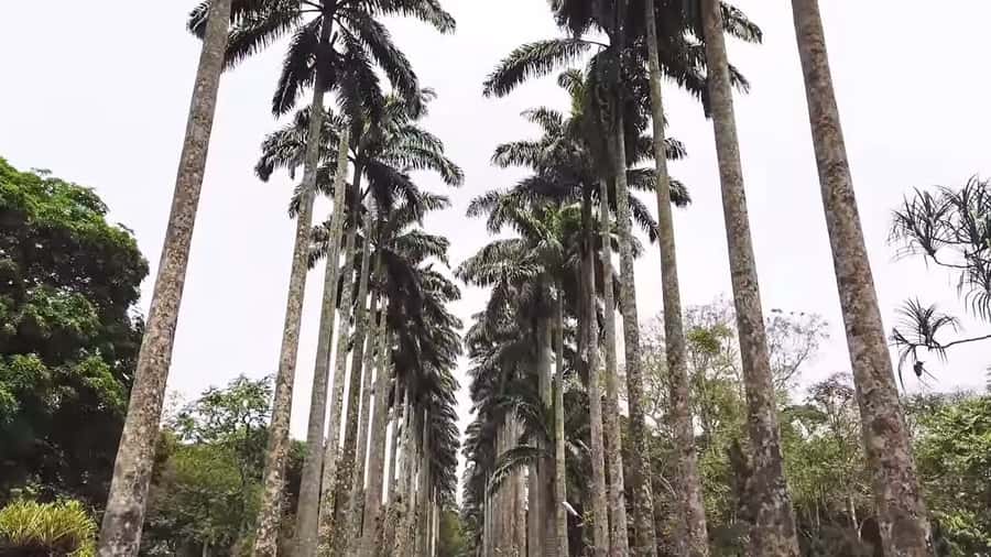 Accra: Eastern Region Waterfalls Tour - The male and female waterfall story