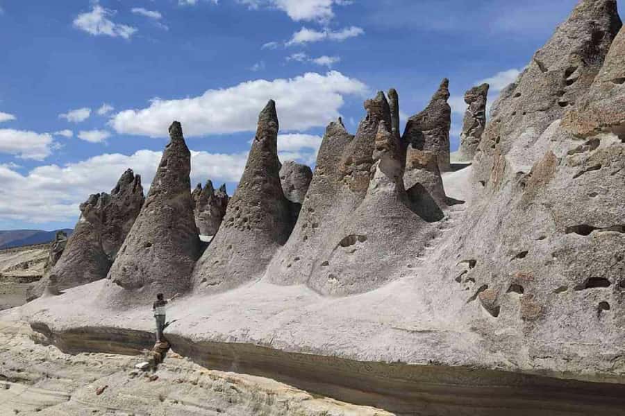 Adventure Day in Arequipa: Pillones Waterfall + Rock Forest - Wildlife stops in Salinas and Aguada Blanca