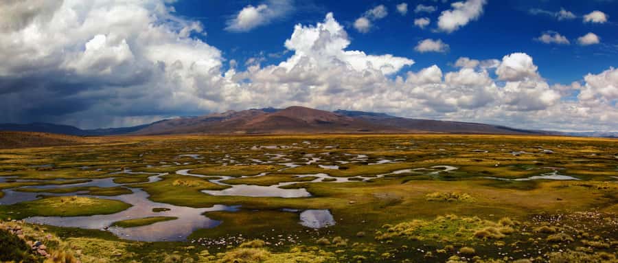 Adventure Day in Arequipa: Pillones Waterfall + Rock Forest - Puruña Rock Forest and its unusual shapes