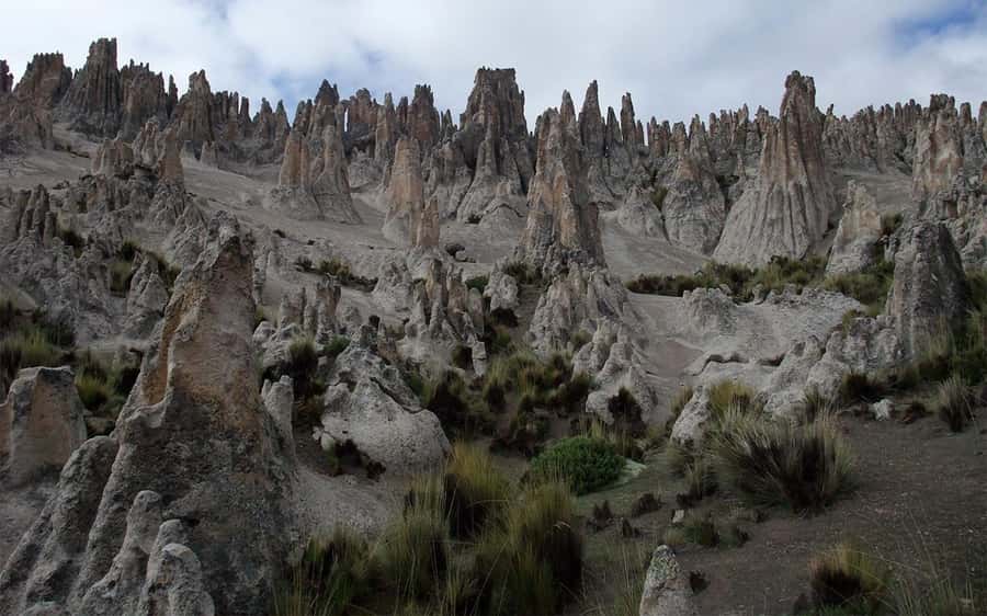 Adventure Day in Arequipa: Pillones Waterfall + Rock Forest - Who should choose this Arequipa excursion