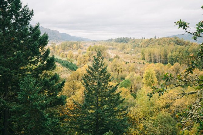 Afternoon Half-Day Multnomah Falls and Columbia River Gorge Waterfalls Tour from Portland - The Sprinter van keeps the outing simple
