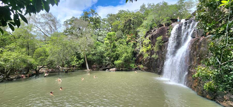 Airlie Beach: Waterfall & Rainforest Bushwalk Eco Adventure - Why this four-hour outing works well from Airlie Beach