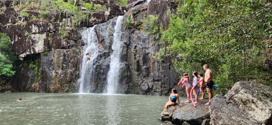 Airlie Beach: Waterfall & Rainforest Bushwalk Eco Adventure - What the guide adds to the experience