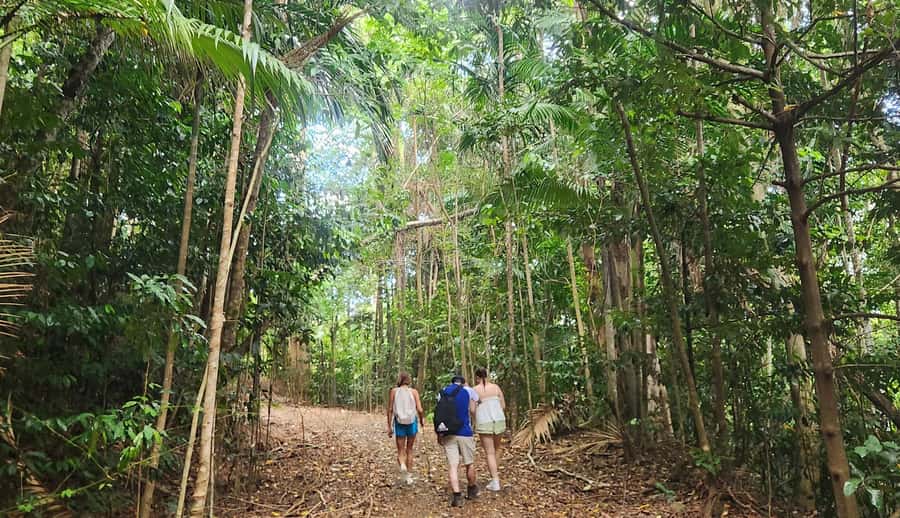 Airlie Beach: Waterfall & Rainforest Bushwalk Eco Adventure - Is $84 a fair price?