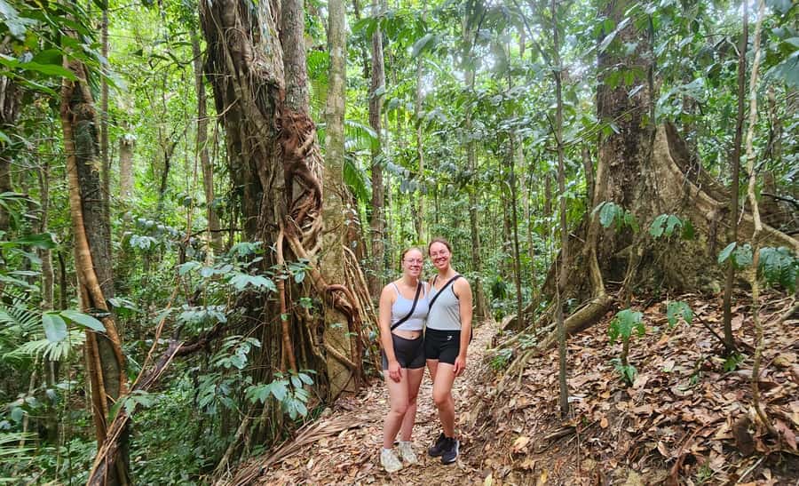 Airlie Beach: Waterfall & Rainforest Bushwalk Eco Adventure - How the pace feels from pickup to return