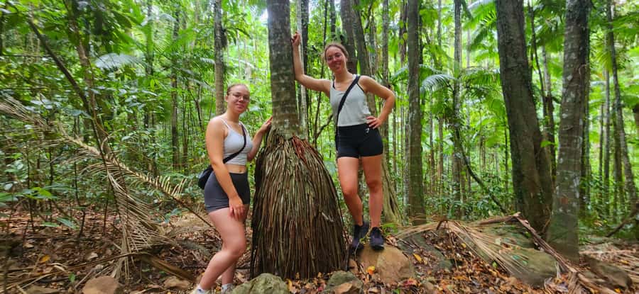 Airlie Beach: Waterfall & Rainforest Bushwalk Eco Adventure - Walking beneath the trees in Conway National Park