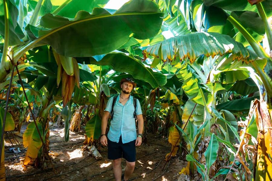 Alanya: 3-in-1 Sapadere Waterfalls, Dim Stream, & Cave Tour - Tropical fruit garden and local tastes
