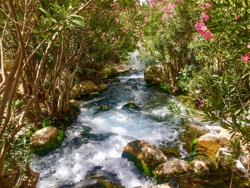 Algar Waterfalls Coach Trip - From Albir & Benidorm - Swimming in clear, cold mountain water