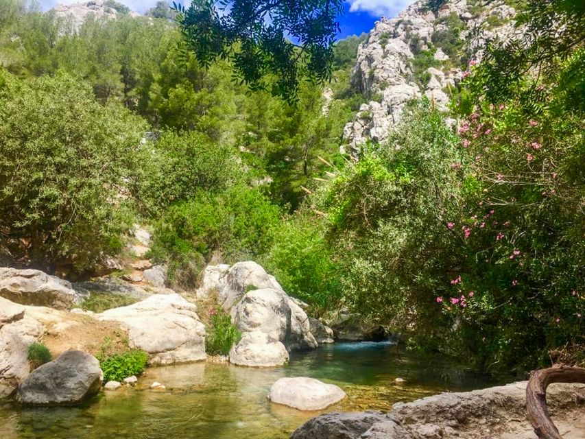 Algar Waterfalls Coach Trip - From Albir & Benidorm - Crowds and the best feel of the place