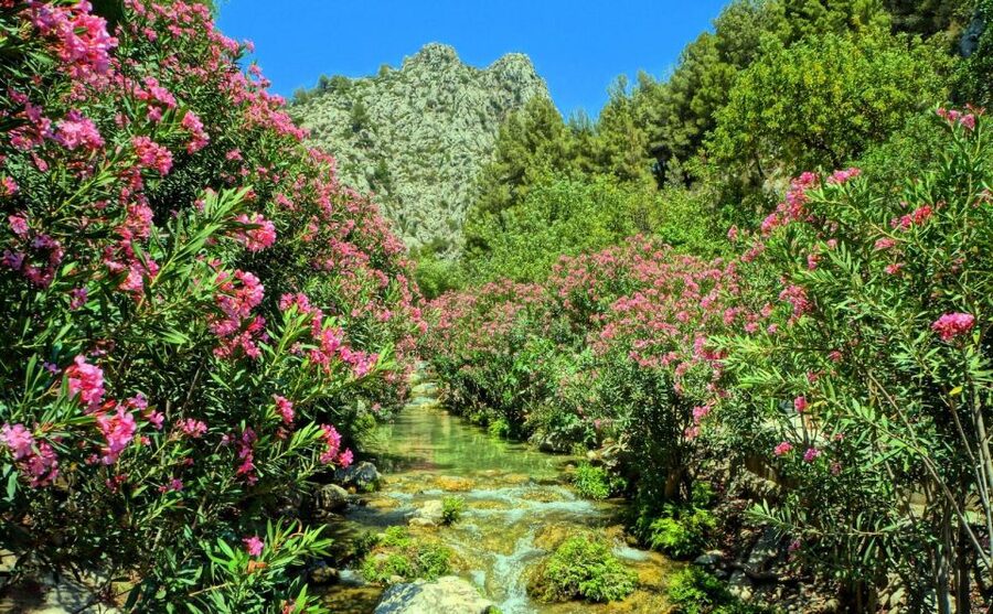 Algar Waterfalls Coach Trip - From Albir & Benidorm - What to pack for a better day