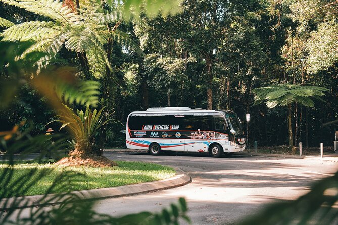 All Inclusive Waterfalls and Rainforest Tour from Cairns - A full day from Cairns to the Atherton Tablelands
