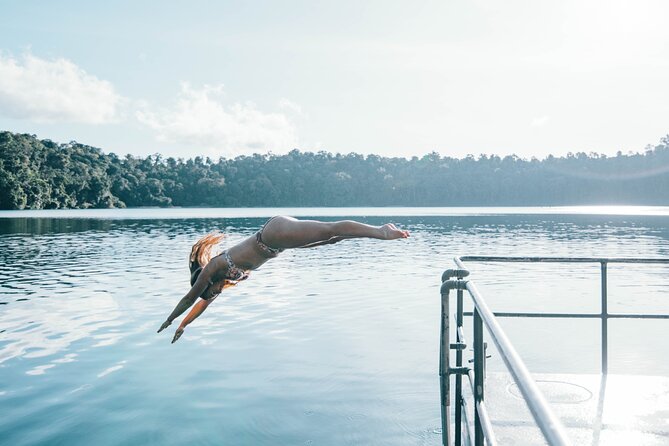 All Inclusive Waterfalls and Rainforest Tour from Cairns - The fig tree stop adds a cultural and ancient-rainforest layer