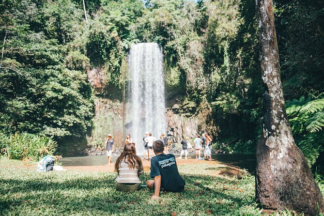 All Inclusive Waterfalls and Rainforest Tour from Cairns - Wildlife searches keep the day unpredictable
