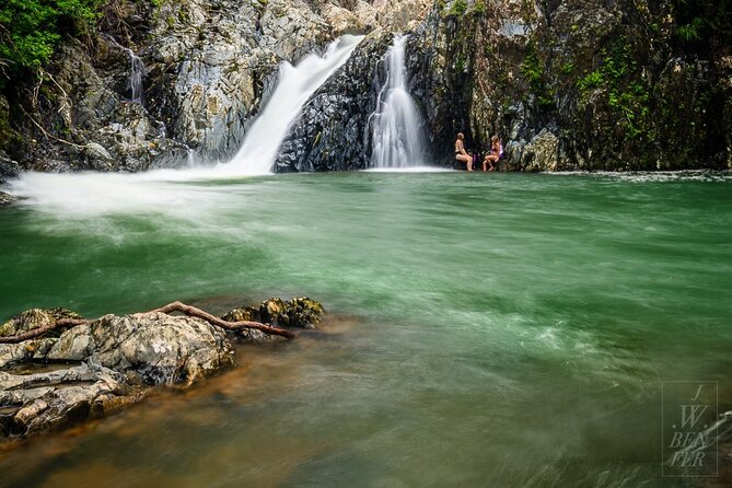 Amazing Daintree Rainforest Tour Waterfall Hike, Lunch, Swim & Crocodile Cruise - Key details at a glance