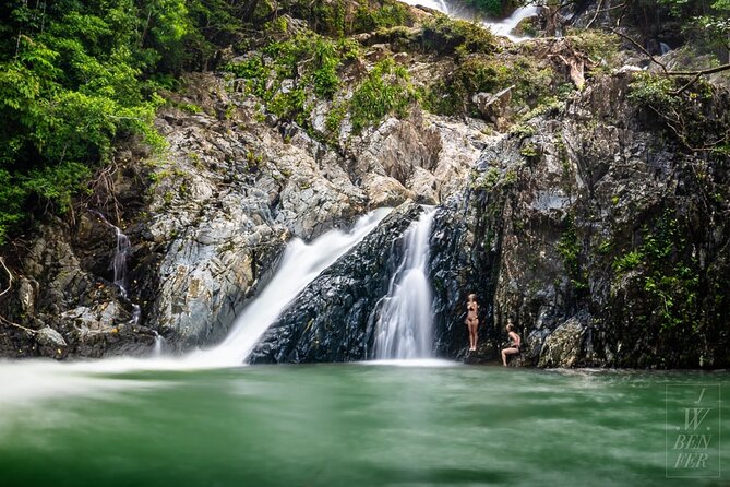 Amazing Daintree Rainforest Tour Waterfall Hike, Lunch, Swim & Crocodile Cruise - What the walk demands from you