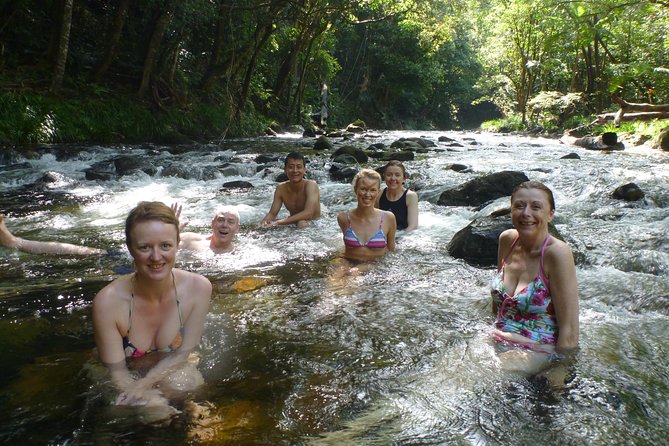 Amazing Daintree Rainforest Tour Waterfall Hike, Lunch, Swim & Crocodile Cruise - A gourmet lunch in a hidden rainforest restaurant