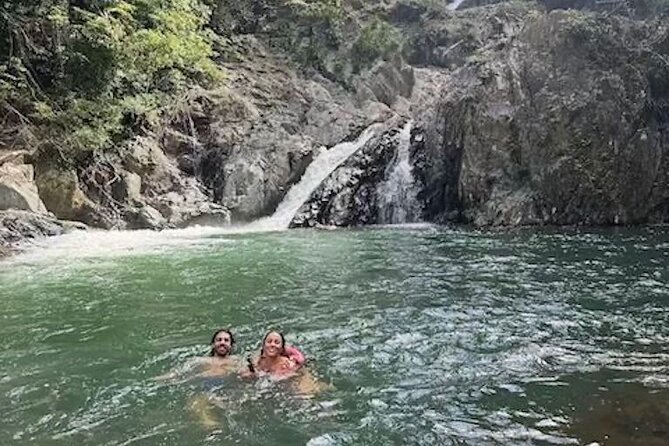 Amazing Daintree Rainforest Tour Waterfall Hike, Lunch, Swim & Crocodile Cruise - Searching for crocodiles on a solar-powered boat